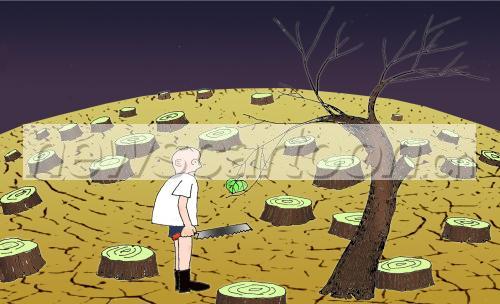 人类砍伐树木的卡通画